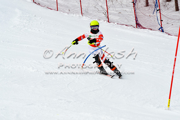 2016 January 22 alpine DSC_1797