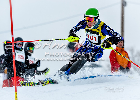 2016 January 22 alpine DSC_0655