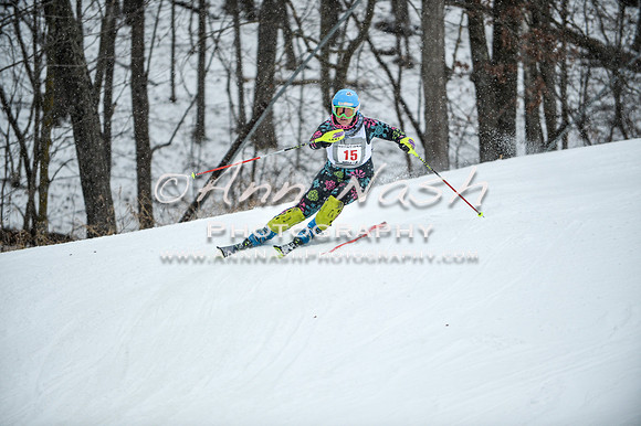 2015 December 18 alpine DSC_9068