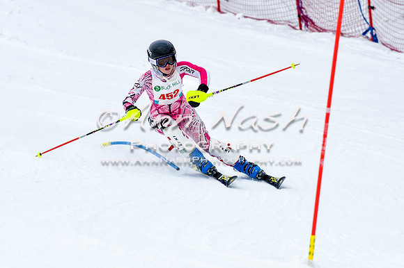 2016 January 22 alpine DSC_0816