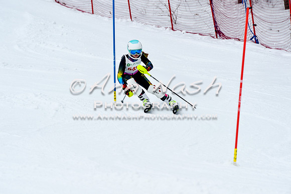 2016 January 22 alpine DSC_0920