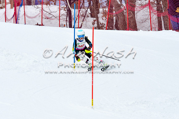 2016 January 22 alpine DSC_0918