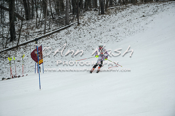 2015 December 18 alpine DSC_9379