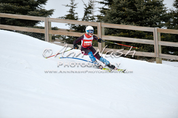 alpine_2015-01-22_11-54-49_DSC_0793_©AnnNashPhotographyLLC_2015