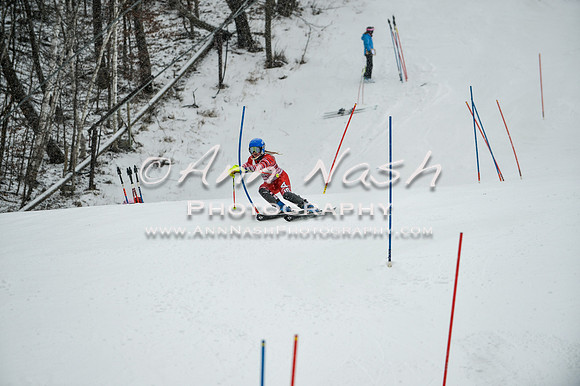 2015 December 18 alpine DSC_9219
