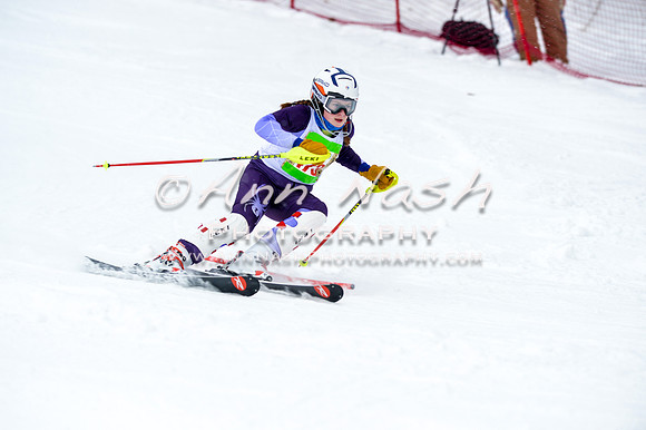 2016 January 22 alpine DSC_1060