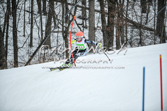 2015 December 18 alpine DSC_9038