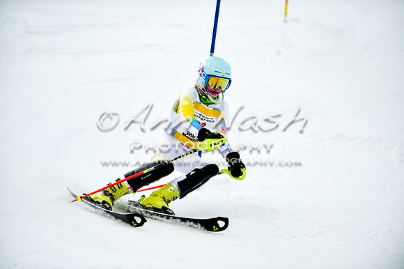 2015 December 18 alpine DSC_0037