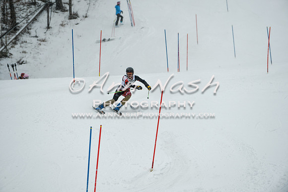 2015 December 18 alpine DSC_9271
