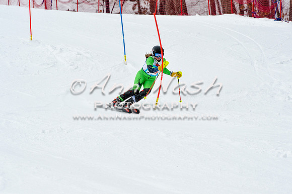 2016 January 22 alpine DSC_1891