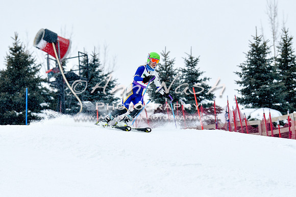 2016 January 22 alpine DSC_0778