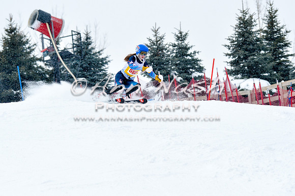 2016 January 22 alpine DSC_0963