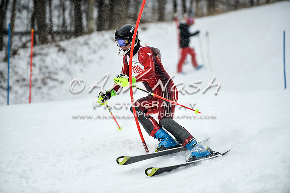 2015 December 18 alpine DSC_9294