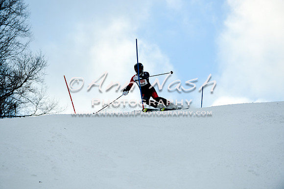 2015 December 18 alpine DSC_9854