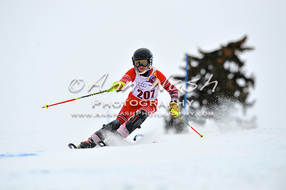 alpine_2015-02-14_13-32-21_DSC_8387_©AnnNashPhotographyLLC_2015