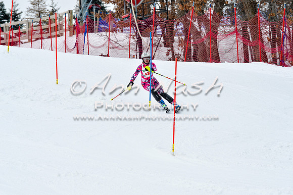 2016 January 22 alpine DSC_1422