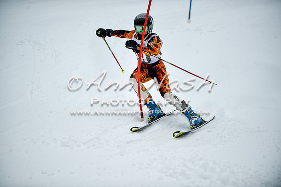 2015 December 18 alpine DSC_9026