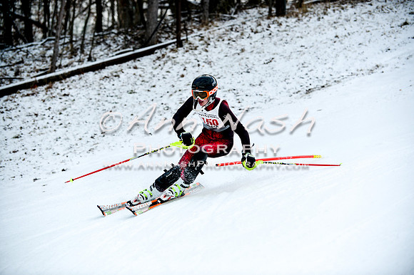2015 December 18 alpine DSC_9820