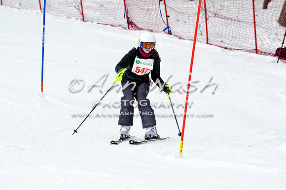 2016 January 22 alpine DSC_1812