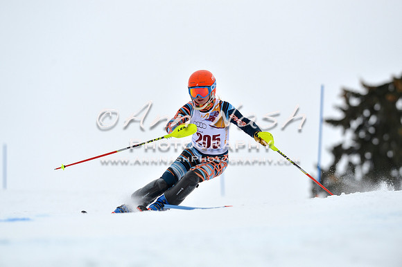 alpine_2015-02-14_13-31-48_DSC_8377_©AnnNashPhotographyLLC_2015