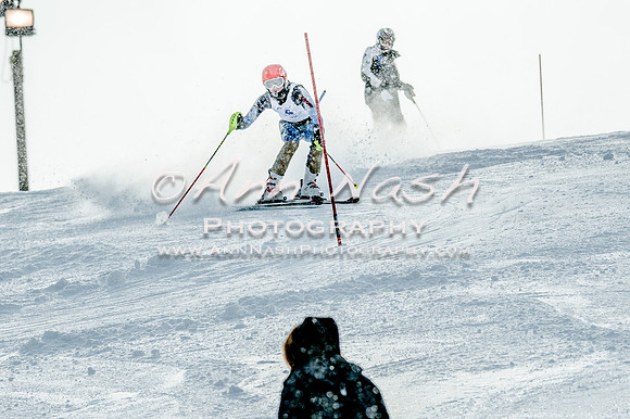 2016 February 14 alpine DSC_7134