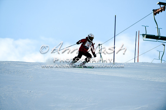 2015 December 18 alpine DSC_0098