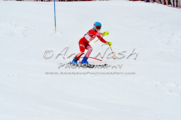 2016 January 22 alpine DSC_1553