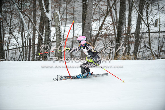 2015 December 18 alpine DSC_9286