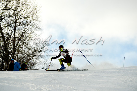 2015 December 18 alpine DSC_9981