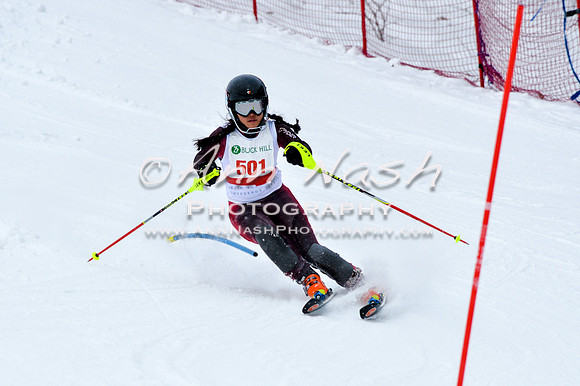 2016 January 22 alpine DSC_0686