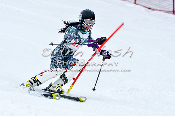 2016 January 22 alpine DSC_0698