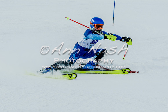 2016 February 14 alpine DSC_7224-2