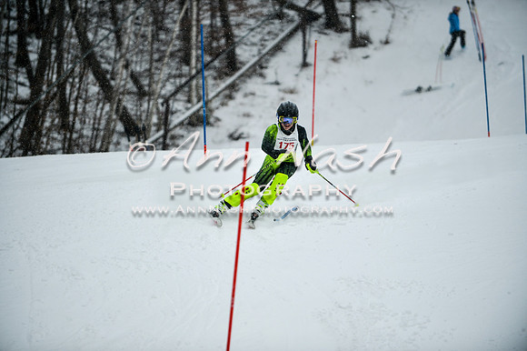 2015 December 18 alpine DSC_9136