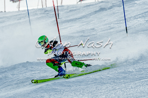 2016 February 14 alpine DSC_7585