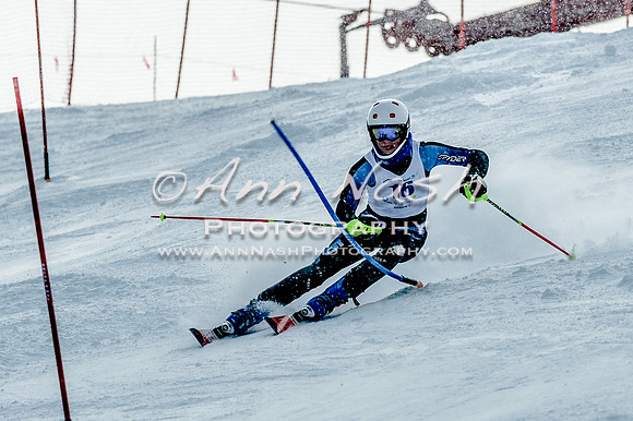 2016 February 14 alpine DSC_6979