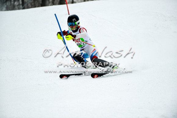 2015 December 18 alpine DSC_9604