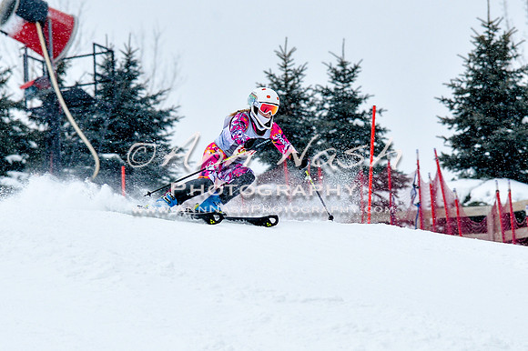 2016 January 22 alpine DSC_0731