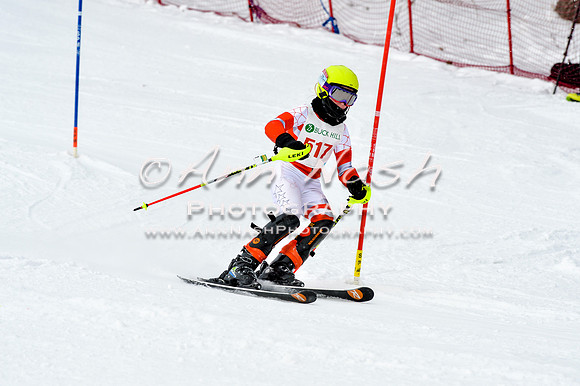 2016 January 22 alpine DSC_1799