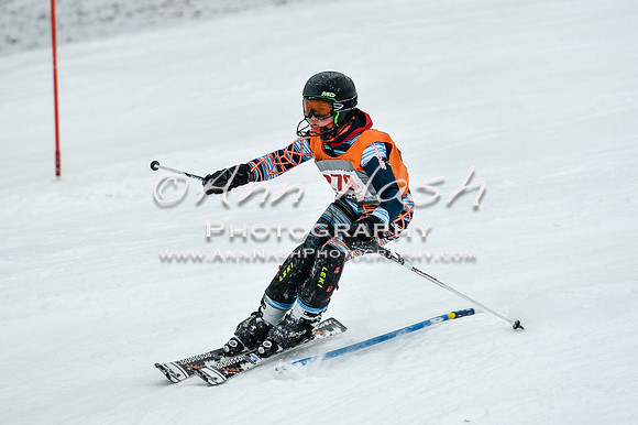 2015 December 18 alpine DSC_9456