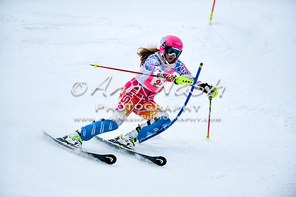 2015 December 18 alpine DSC_0021