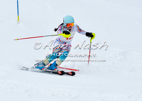 2016 January 22 alpine DSC_0811