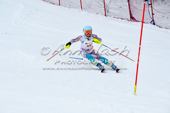 2016 January 22 alpine DSC_0813