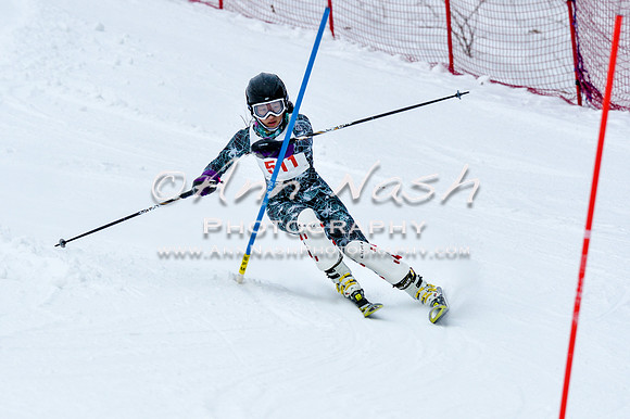 2016 January 22 alpine DSC_0697