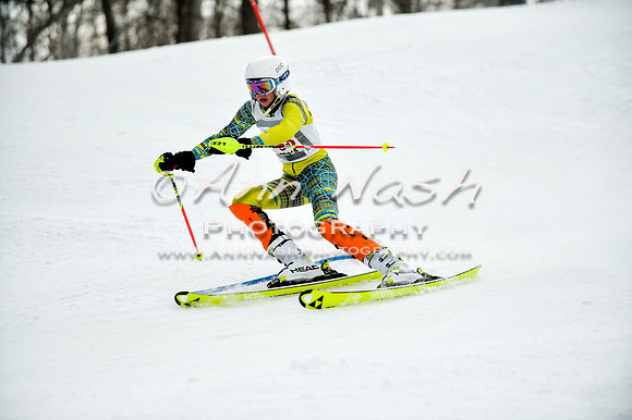 2015 December 18 alpine DSC_9962