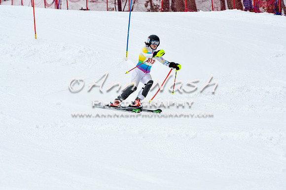 2016 January 22 alpine DSC_1100