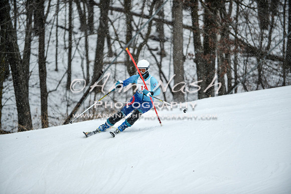 2015 December 18 alpine DSC_9028