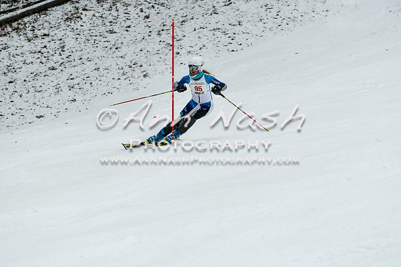 2015 December 18 alpine DSC_9409