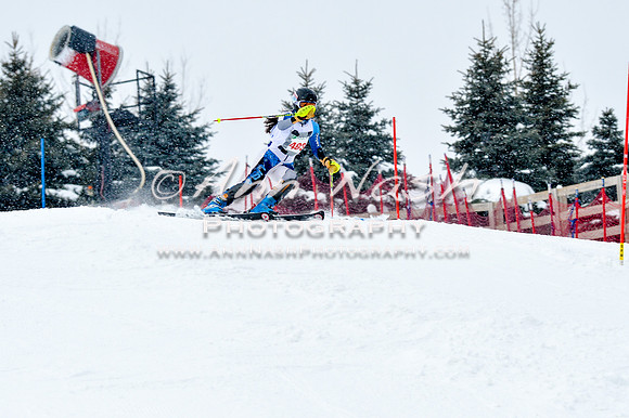 2016 January 22 alpine DSC_1041