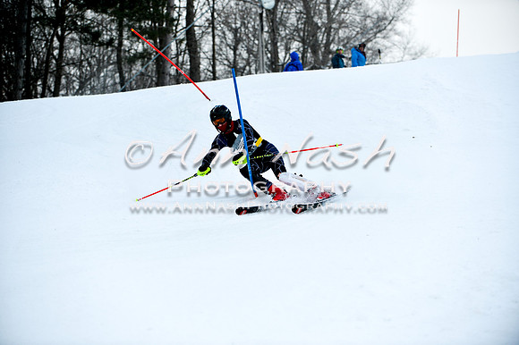 2015 December 18 alpine DSC_9720
