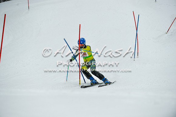 2015 December 18 alpine DSC_9278